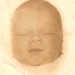 1962 Rachel 1 day old thumbnail