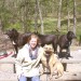 Me and the dogs 0407 thumbnail