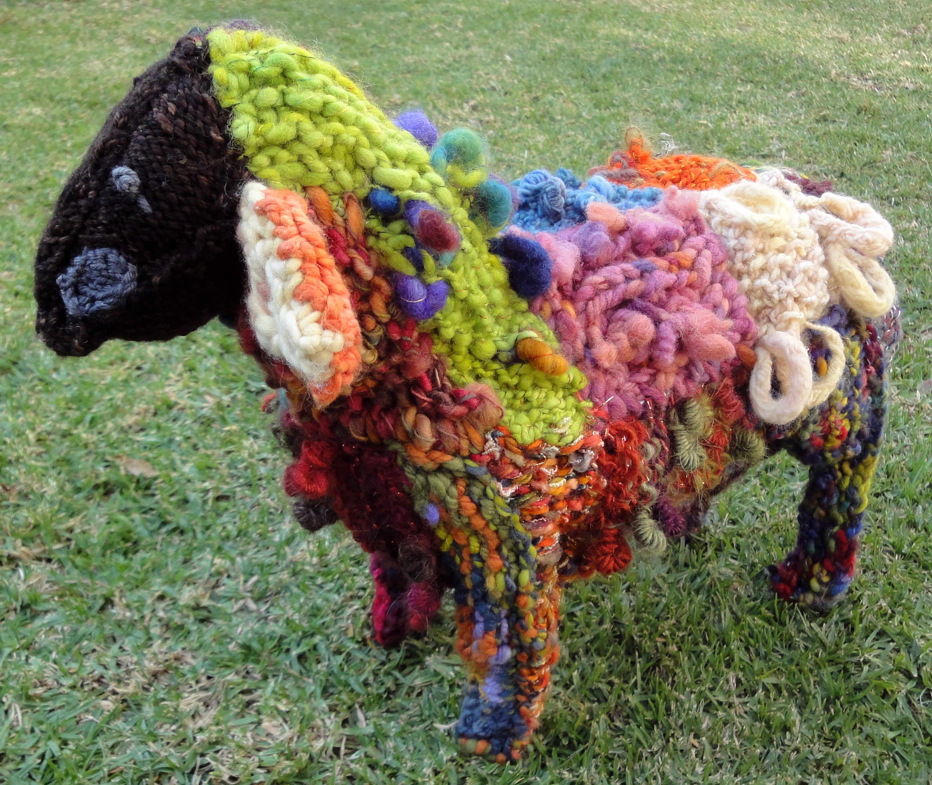 dana biddle sheep