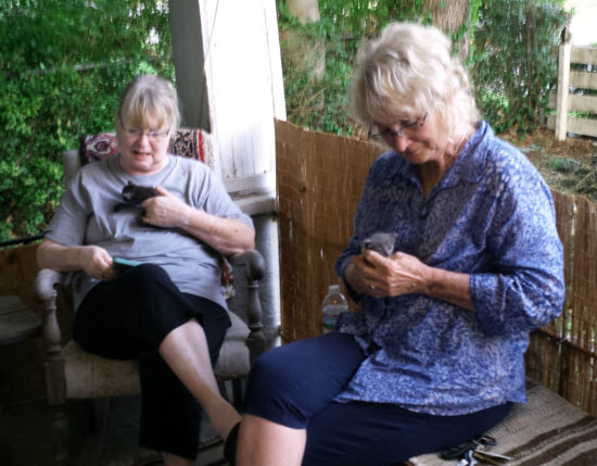 Leslie and Michele with kittens, 2017