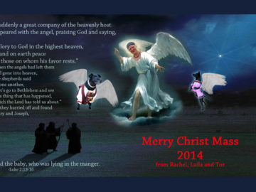 Christ Mass 2014