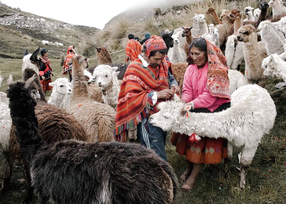 Threads of Peru purchases textiles from women’s weaving cooperatives in remote Andean villages. They pay the women for their work up-front and at a fair market price.