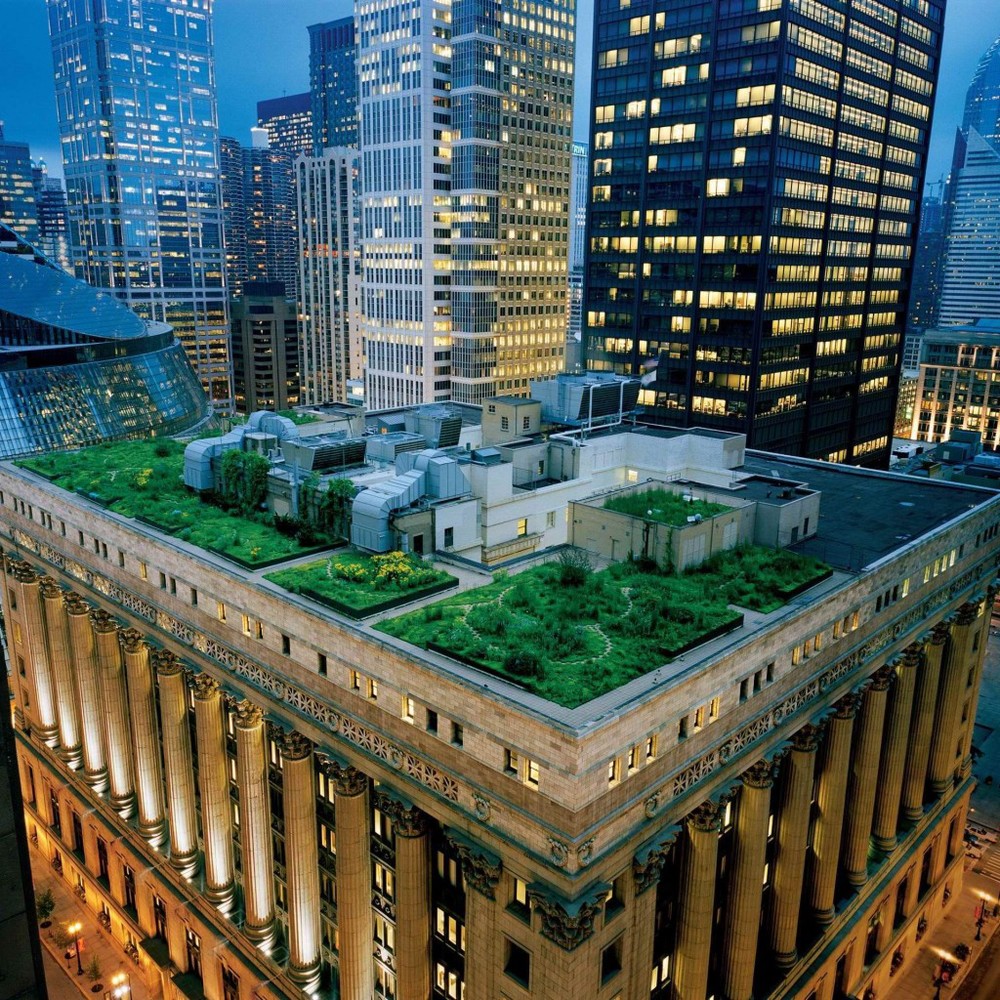 Chicago green roofs