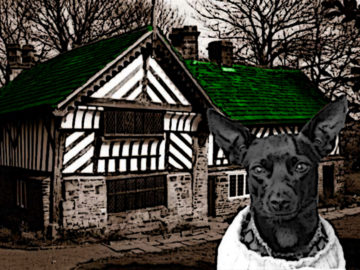 Green Roof Paducah – Culture House